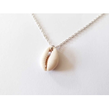 cauri naturel argent