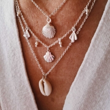 cauri naturel argent