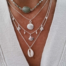 cauri naturel argent